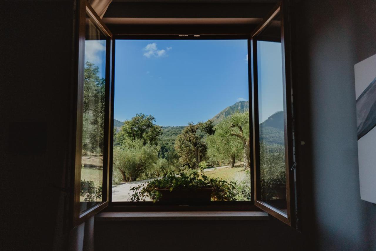 Tenuta Terre Di Bosco Oasi Di Relax Nel Cilento San Giovanni a Piro Luaran gambar