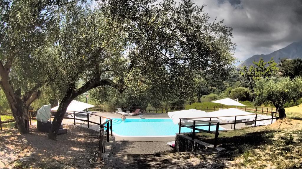 Tenuta Terre Di Bosco Oasi Di Relax Nel Cilento San Giovanni a Piro Luaran gambar