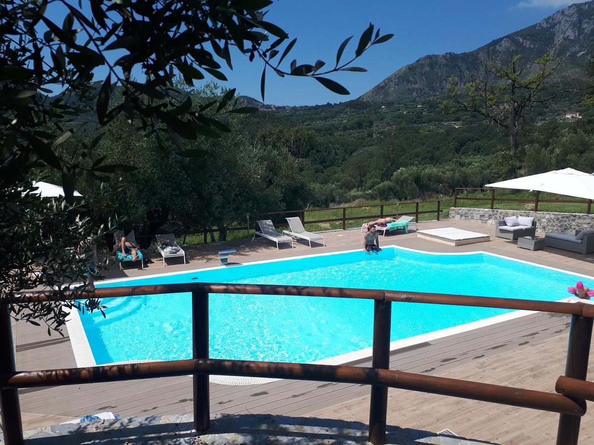 Tenuta Terre Di Bosco Oasi Di Relax Nel Cilento San Giovanni a Piro Luaran gambar